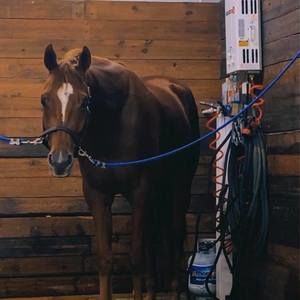 Meet your Posher, Dalton